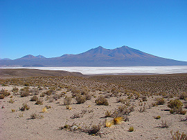 soln&aacute; pl&aacute;� Salar de Chiguana a vulk&aacute;n Luxsar