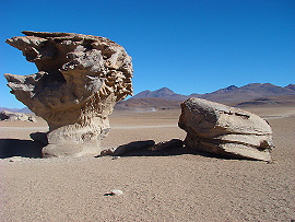 Arbol de Piedra (kamenn&yacute; strom)